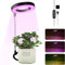 Pflanzenlampe LED, Vollspektrum Pflanzenlicht für Zimmerpflanzen, Höhenverstellbares LED- Pflanzenwachstumslampe mit Zeitschaltuhr 3/9/12 Std mit USB Adapter, 3 Lichter Modi und 9 Helligkeit