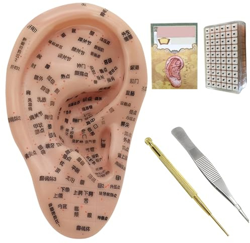 Ohrsamen Akupunktur -Kit Weiches Ohrsamen -Kit -Ohrsamen mit 7,5 Zoll..Ohrmodell, Ohrfleck, Pinzette, Sondenstift, Ohrbuch, Bild, Akupunktur -Ohrsamen