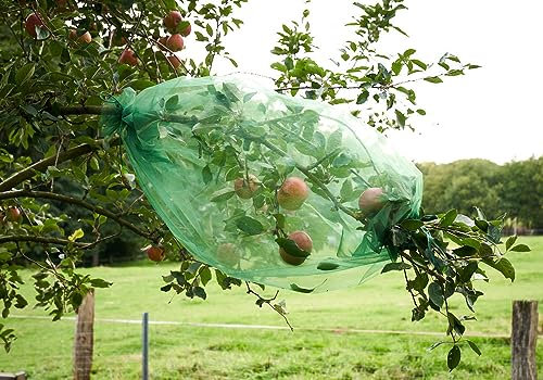 1 Frucht-Schutzschlauch mit 2 Kordelzügen - Schutz vor Wespenfrass, Anderen Insekten und Vögeln - Organza- dunkelgrün (150x100 cm, Durchmesser 55 cm)