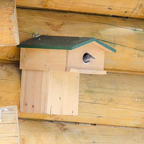 CJ Wildlife Nistkasten – Nistkasten für Vögel für draußen wetterfest – Spezialdesign für Stare – Fichtenholz FSC Braun – Innere Sitzplattform, leicht zu reinigen