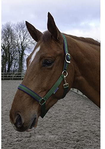 Bucas Halfter Dublin Pony Emerald
