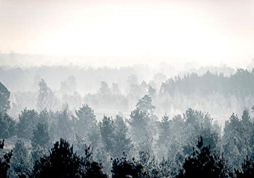 decomonkey Premium Fototapete Wald Natur 350x256 cm XL Tapete Fototapeten Vlies Tapeten Vliestapete Wandtapete moderne Wandbild Wand Schlafzimmer Wohnzimmer Landschaft Baum Nebel