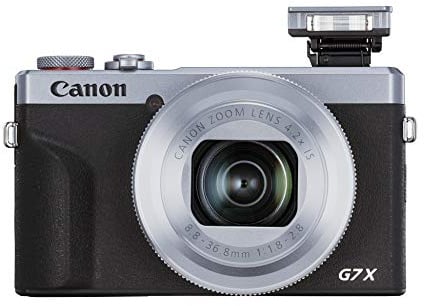 Canon Powershot G7 X Mark Iii Argento Battery Kit