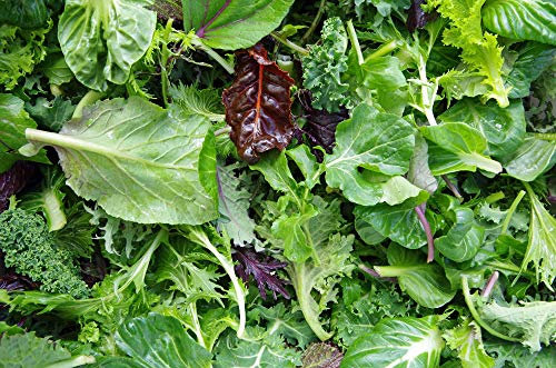 Fresh Mixed Leaf Salad - 1x125g