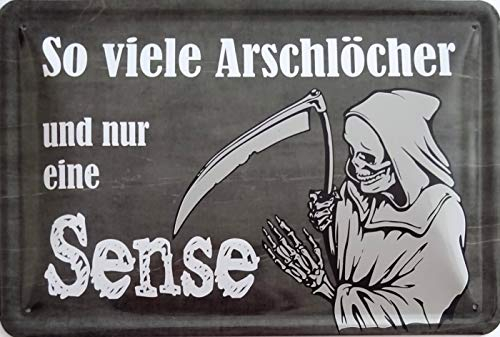 Blechschild Schild 20x30cm - So viele Arschlöcher und nur eine Sense Kunden Kollegen