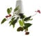 Sky Planter Recycled Medium Upside Down Sky Pflanztopf Keramik Wand Pflanzgefäße Dekorative Pflanzentöpfe Vase für den Innen- und Außenbereich für Balkon Garten Wohnkultur (Weiß)