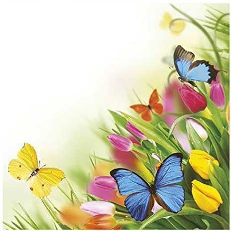 Auswahl Motiv - 20 Servietten/Napkins - ca. 33 x 33 cm 3-lagig - Tulpen Schmetterlinge - Tisch-Deko Basteln Serviettentechnik