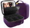 MOMIRA Makeup Bag with Mirror and Light Travel Makeup Train Case Cosmetic Bag Organizer Portable Artist Storage Bag with Adjustable Dividers Makeup Brushes Storage Organizer Deep purple, Deep purple