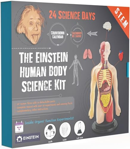 Einstein Human Body Science Kit Adventskalender 24 Tage und S.T.E.M Science Aktivitäten & 20 Experimente rund um den menschlichen Körper Enthält 12' Human Model mit 16 abnehmbaren Organen Auch inkl