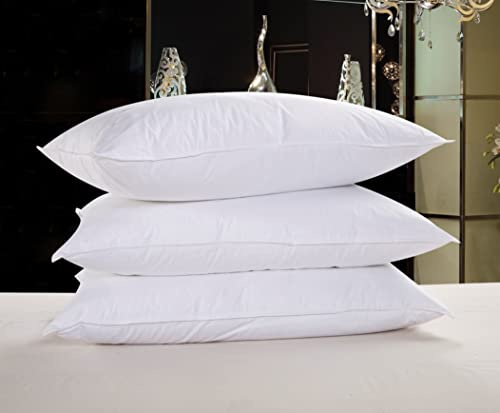 Goose or Duck Down Feather Duvet Quilt Luxury Comforter Deluxe, Super Soft, 3D Baffle Boxes design , Anti Allergy, Double Stiched piping, Best Hotel Quality (2pk of pillow, Goose Down Feather)