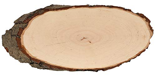 Bütic Holzscheibe Esche oval B-Ware - Rindenscheibe Baumscheibe geschliffen Holzbrett, Brettgröße:ca. 50cm lang