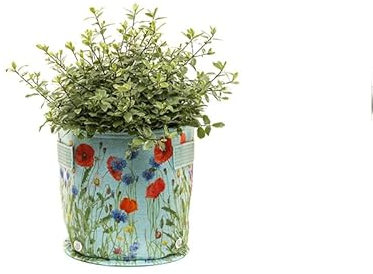 Jardinopia Fabric Eco Pot, Cotton, Green, 23L