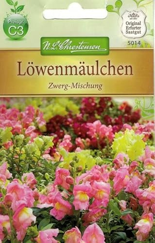 N.L.Chrestensen 5014, Antirrhinum Löwenmäulchen, Zwerg-Mischung, Mehrfarbig