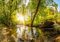 wandmotiv24 Fototapete Wald mit Brücke, XL 350 x 245 cm - 7 Teile, Wanddeko, Wandbild, Wandtapete, Fluss, Bäume, Wald M5758