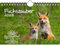 Fuchszauber DIN A5 Wandkalender für 2025 Fuchs und Füchse - Set-Inhalt: 1x Kalender 1x Weihnachtsanhänger 1x Grußanhänger (gesamt 3 Teile)