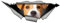 Autoaufkleber Jack Russell Terrier Aufkleber 15cm(5.9 Inch) Jack Russell Terrier Reflektierende Aufkleber 3D Zerrissen Aufkleber Haustier Hund Lustig Aufkleber Personalisiert Car Sticker Lustig Dekor