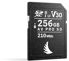 Angelbird AV PRO SD V30 256 GB – SDXC UHS-I Speicherkarte – bis zu 8K Video & hochauflösende Fotografie – Hochgeschwindigkeitskarte für den täglichen Einsatz, Hobby & kreative Projekte