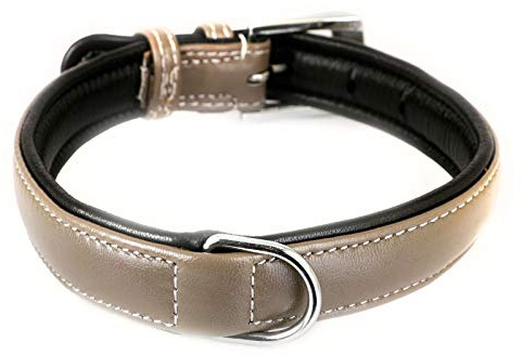 Monkimau Hundehalsband aus Leder Halsband für Hunde Lederhalsband weich gepolstert (S-M, grau)