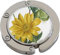 Klack - der Taschenhalter Christrose aus dem Nassau Florilegium, Blumen