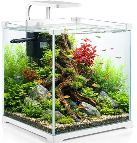 Kruger Meier Shrimp!One Pro 30 Aquarium Komplettset 15L – Nano Aquarium mit LED Beleuchtung und Innenfilter für Garnelen & Fische