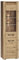 Lomadox Vitrine in Artisan Eiche Nb. ohne Beleuchtung, B/H/T: ca. 55/200/40 cm