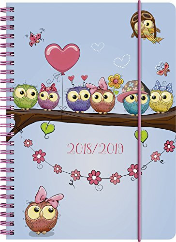 Brunnen 1072985039 Schülerkalender Eule, 2018/2019