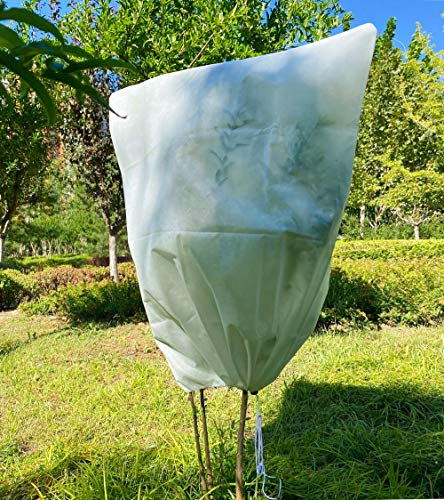 Pflanzen Winterschutz Frostschutz for Kübelpflanzen: 70g/m² 100x120cm überwinterungszelt Pflanzenschutz mit Reißverschluss für Olivenbaum Palmen Reißfest Atmungsaktiv Waschbar UV Stabil Beige