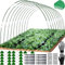 Túnel de lámina para bancal elevado, 30 arcos para bancal alto, 30 unidades, túnel de plantación para bancal alto, neumáticos de invernadero para bancal alto, túnel de invernadero
