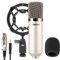 VONYX Microfono A Condensatore Da Studio Live Artisti Phantom 48v