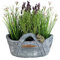 Arnusa Blumentopf Korb Cowboy Pflanzschale 20x36x20 cm Jeans Style Pflanztopf Übertopf Blumenkübel Dekoschale GB004