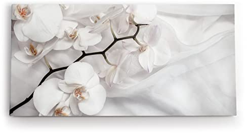Paul Sinus Wandbild 120x60cm Weiß Orchidee Blumen Blüten Hell Fotokunst
