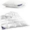 2 TLG. Set Daunendecke und Daunen Kissen | Bettdecke 135x200 cm 1600 g | Daunen Kissen 1100 g | 100% Baumwolle | Daunenbettdecke 135x200 cm | kein Lebendrupf | Winterdecke | weiß