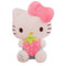 Glurak Kitty Plüschtier Kuscheltier, Kuscheltier aus weichem Plüschmaterial für Mädchen Geburtstagsgeschenke Erdbeeren -30cm