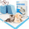 BPS® Empapadores de Entrenamiento para Perros Gatos Perfumes con Feromonas para Atraer los Cachorros y Simplificar el Entrenamiento (30pcs 60*60cm) BPS-2168