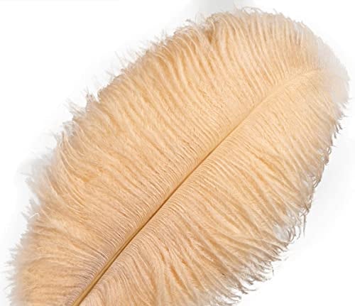 Crenze 10Pcs Straußenfedern 12-14Inch (30-35cm) Für Haus Hochzeitsdekoration bietet (Champagner)