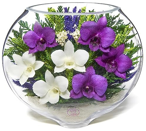 Premium Fresh Cut Preserved Orchid Bouquet in a Sealed Glass Vase | Long Lasting Bouquet Orchids Stays Fresh for 5+ Years | No Water Needed | Allergy Free | Unique Orchid Gifts for Women