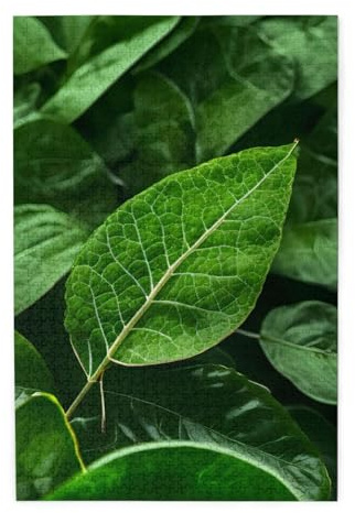 Green Leaf Natur-Bilderpuzzle. Holzpuzzle für Erwachsene, einzigartige Wandkunst-Dekoration, Geschenk