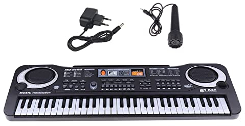 Colcolo Tragbares Elektronisches Keyboard Mikrofon Klavier mit