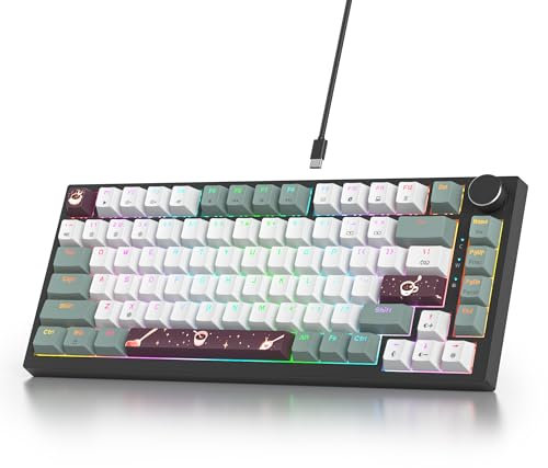 SOLIDEE tastiera gaming meccanica 75 percento,Tastiera Retroilluminata RGB,tastiera meccanica hot swappable/tastiera Gasket,82 tasti TKL NKRO Compatto tastiera con manopola del volume(82 Misty)