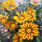 blumensamen, afrikanisches ringkörbchen samen Gazanie seltene flower winterfeste wiesensaatgut bodendecker winterhart mehrjährig Blumenbeet stauden draußen Wildblumenwiese Seed 100pcs