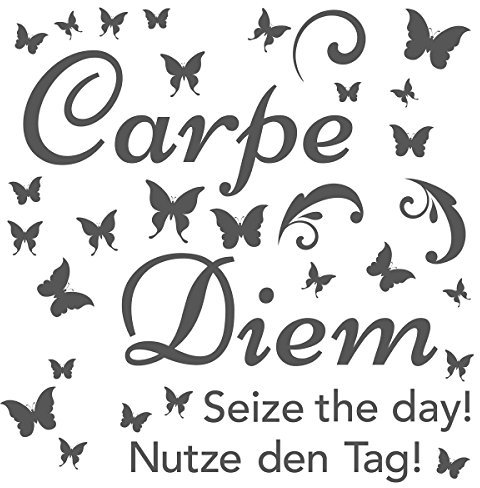 Eurographics Carpe Diem Butterflies 50x70 Wandsticker, Papier, grau, 70 x 50 x 0.4 cm