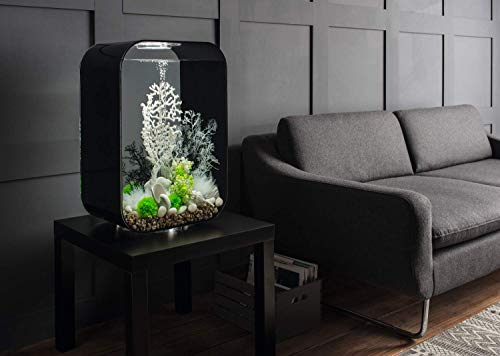 biOrb Life 60 MCR schwarz