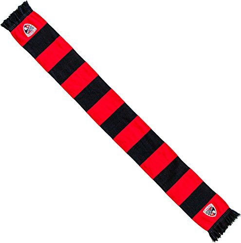 Flaggenfritze Schal FC Ingolstadt 04-17 x 150 cm, + gratis Aufkleber