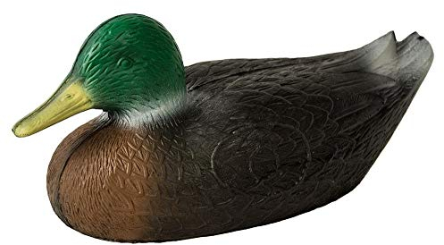 Leitold Ente; Ziel oder Zielscheibe für den Bogensport, Bogenschießen, Pfeil und Bogen, Armbrust Sport, 3D