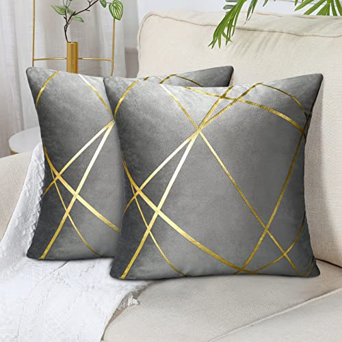 2er Set Kissenbezug 45x45Cm Grau Samt Kissenbezüge Dekorative Quadrat Wurf Kissen Outdoor Dekokissen Kissenhülle für Sofa Schlafzimmer Büro Auto