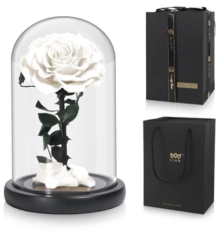Lian Preserved Flower Real Rose in Glass Dome, Preserved Roses Never Withered Romantic Gifts for Female, Valentine's Day, Mother's Day, Birthday, Anniversary, Wedding and Christmas