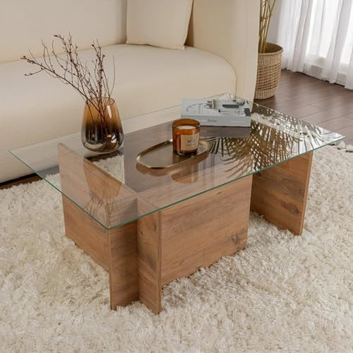 Dmora Couchtisch Illasi 105x65x40h cm Braun mit Zeitschriftenfach