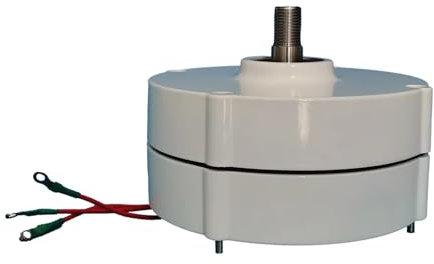 DUOCAI Generatore 6KW 12V 24V trifase Senza Ingranaggi alternatori a Magnete Permanente CA for Turbine eoliche e Motori Diesel Fai da Te for la casa(Single Shaft,Without Base_24V)