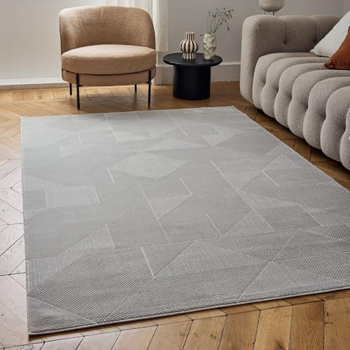 THE RUGS Carmel Modern Area Rug - Stain-Resistant, Non-Shedding, Durable Rugs for Living Room and Bedroom [ Abstract Grey, 80x150cm ]