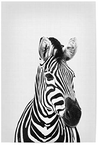 artboxONE Poster 30x20 cm Für Kinder Zebra Portrait hochwertiger Design Kunstdruck - Bild Zebra Animal Animal Art